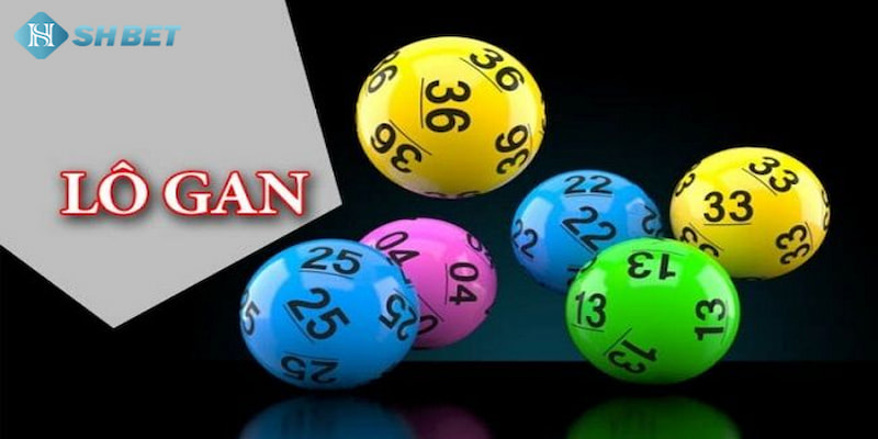 Banner www.viendonghotel.com.vn