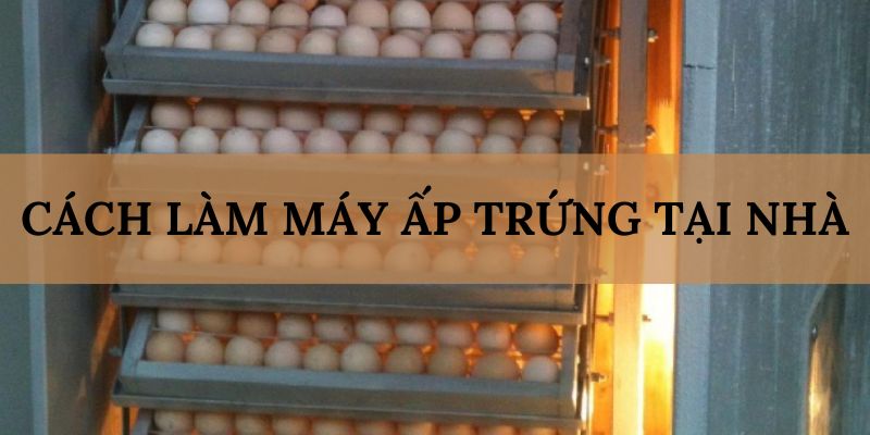 Banner www.viendonghotel.com.vn