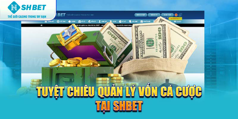 Banner www.viendonghotel.com.vn