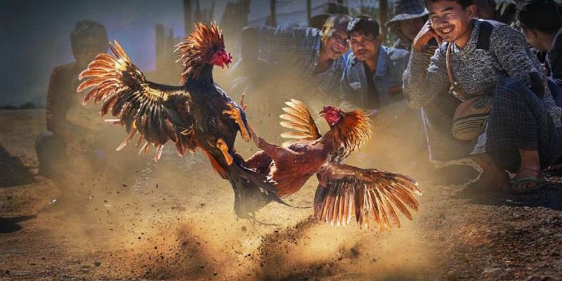 Banner www.viendonghotel.com.vn