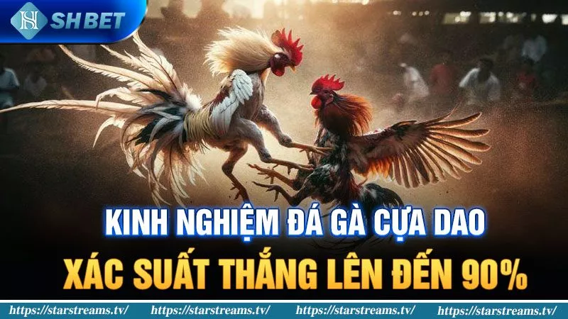 Banner www.viendonghotel.com.vn